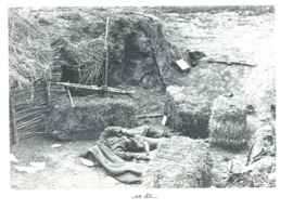 De Para's van Arnhem