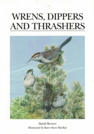 Wrens, Dippers and Thrashers (nieuw)
