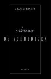 Srebrenica: De schuldigen