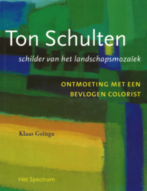 Ton Schulten - Schilder van het landschapsmozaïek - Ontmoeting met een bevlogen colorist