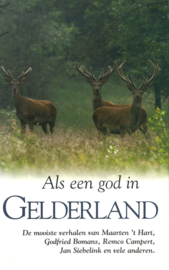 Als een god in Gelderland - De mooiste verhalen van Maarten 't Hart, Godfried Bomans, Remco Campert, Jan Siebelink en vele anderen