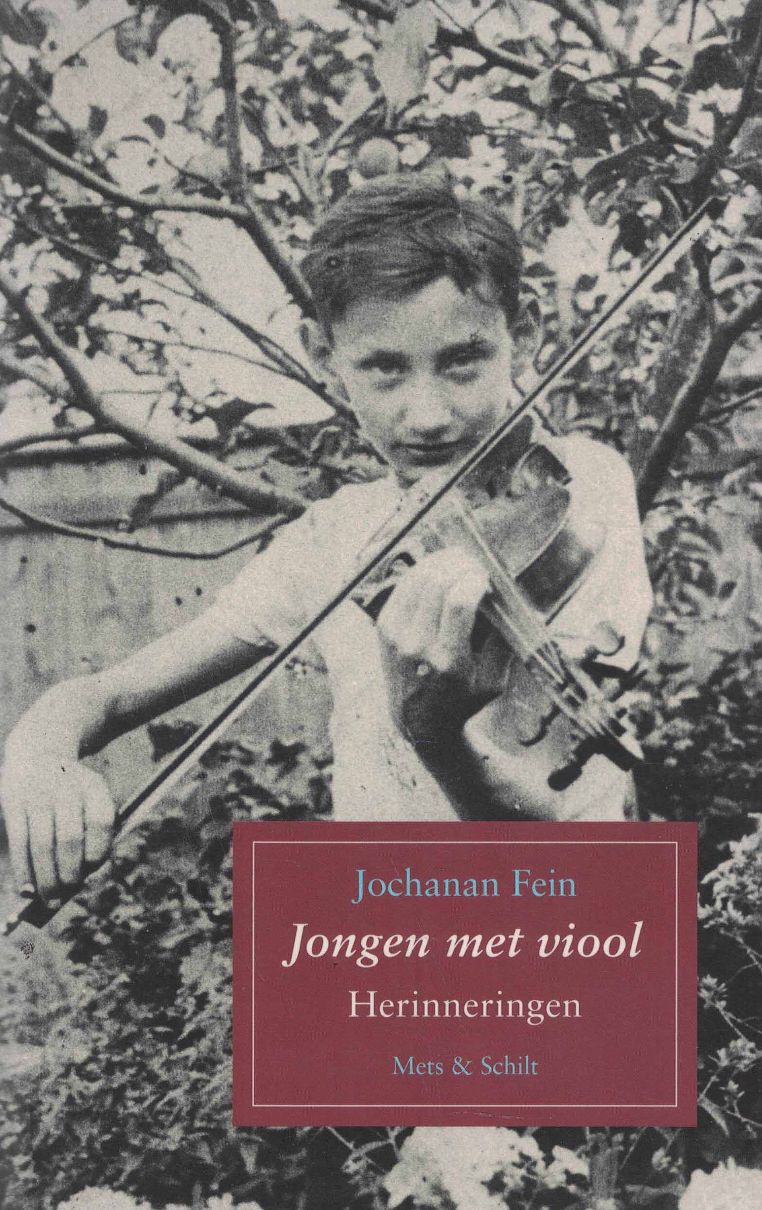 De jongen met de viool - Herinneringen