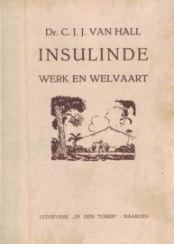 Insulinde - Werk en welvaart