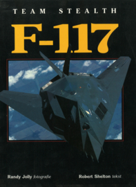 Team Stealth F-117