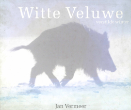 Witte Veluwe  -  verstilde winter