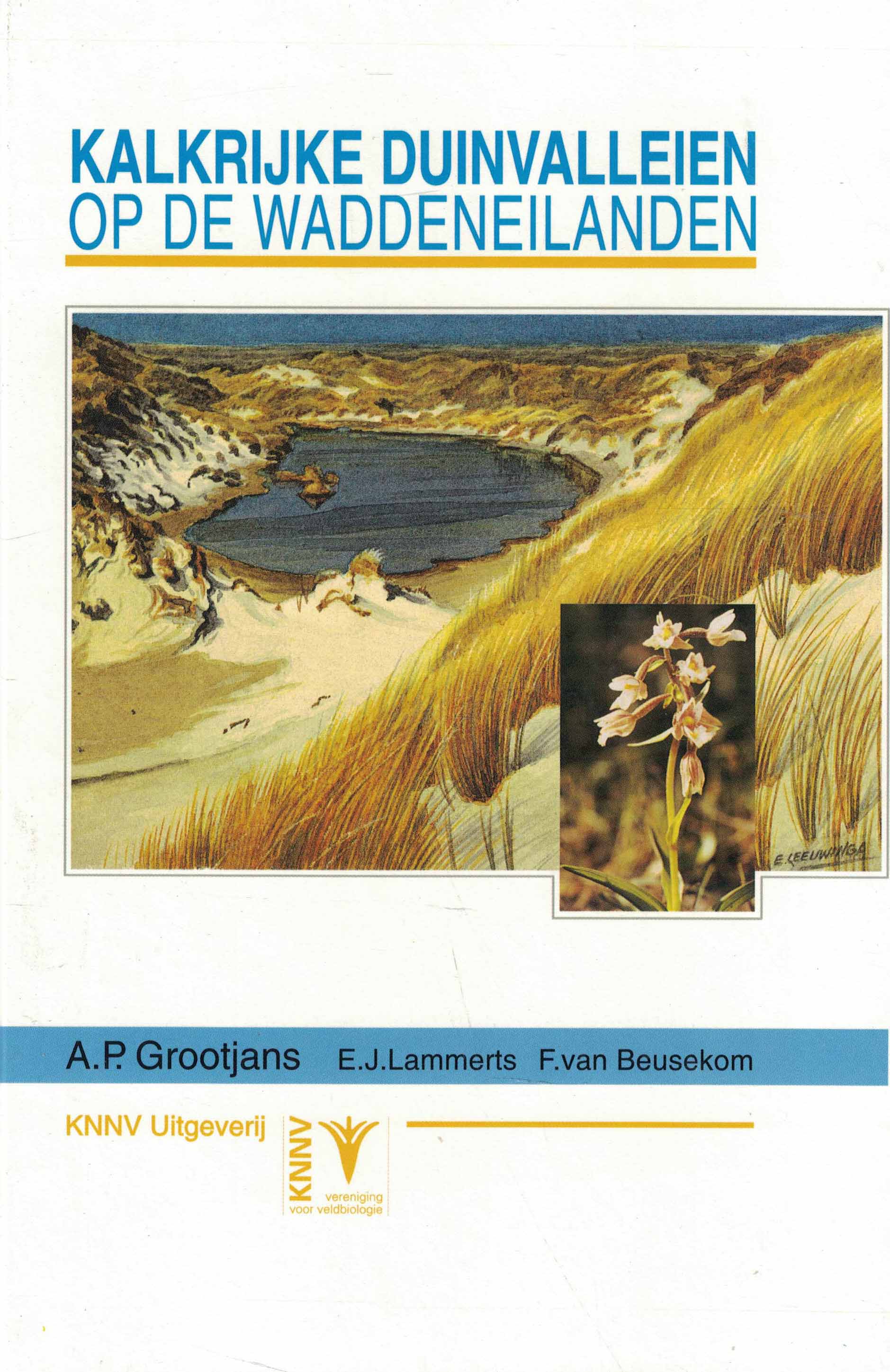 Kalkrijke duinvalleien op de Waddeneilanden