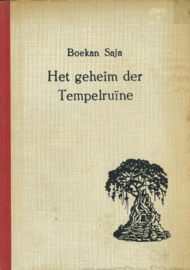 Het geheim der tempelruïne - Een Indische detective roman