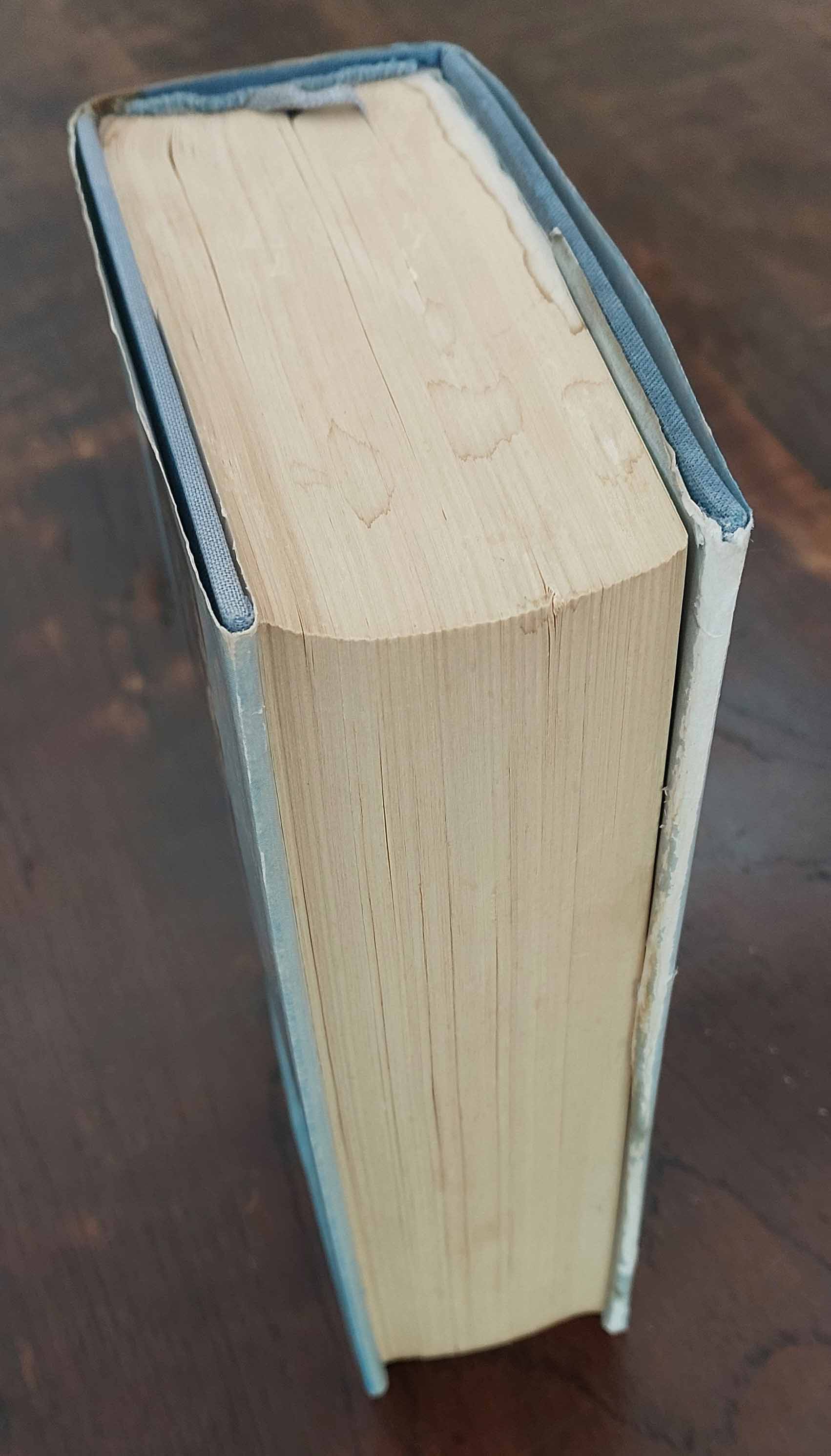 Stille omgang - Notities in het dagelijks verkeer met de Schriften