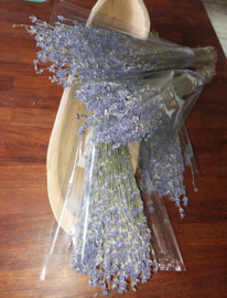 Bosje Lavendel