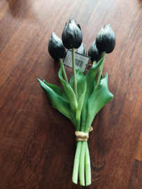 zwarte tulpen
