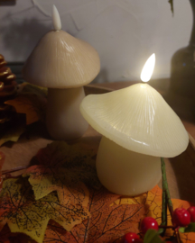 Paddestoel met led [ voorste]