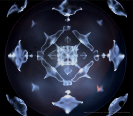 Muladhara- cymatic poster 16 Hz 42 x 49 cm