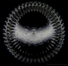 16 Cymatic poster 34.5 Hz 60 x 60 cm