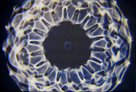 16 Cymatic foto  40.02 Hz  op canvas 40 x 60 cm