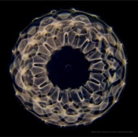 11 Cymatic foto nr 3883  40.02 Hz  op canvas 60 x 60 cm