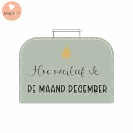 Hoe overleef ik de maand december