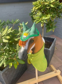Hobby Horse Vos