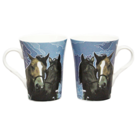 Cadeauset Paardenmokken