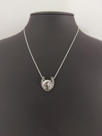 Broche (of ketting)  Dressuurpaard met Hoefijzer Jane Heart