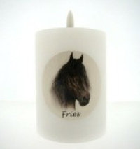 Ledkaars  Fries paard