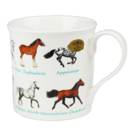 Tasse Pferderassen