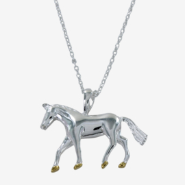 Ketting Met Paard