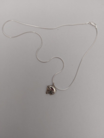 Ketting Paard Dressuur