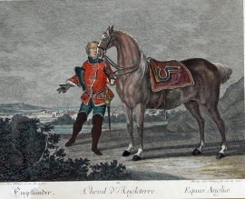 Engelse paard van Ridinger