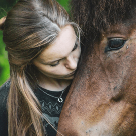 Paarden Ketting Hoefijzer Zirkonia Steentjes