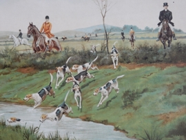 Foxhunting