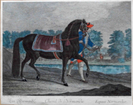 Normannisches Pferd  Ridinger