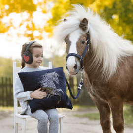 Blog 15: Zoek jij een cadeau voor een paardenmeisje? Wij geven je een aantal tips!