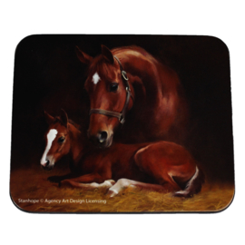 Paarden Onderzetterset 4 stuks