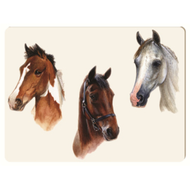 Werkblad Portret 3 Paarden