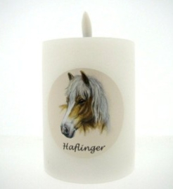 Ledkaars Haflinger paard