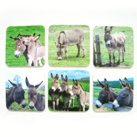 Coaster Set Donkeys