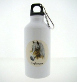 Fles