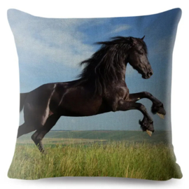 Equestrian Pillows