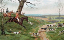 Foxhunting