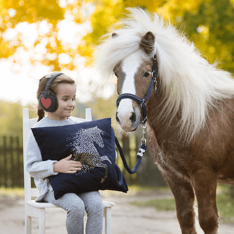 Blog 15: Zoek jij een cadeau een paardenmeisje?