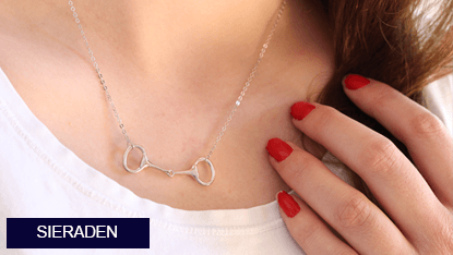 Paarden sieraden