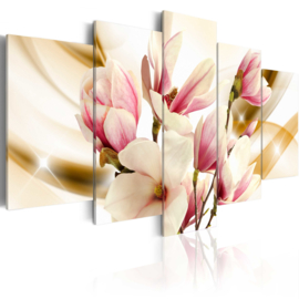 434 Magnolia Bloemen