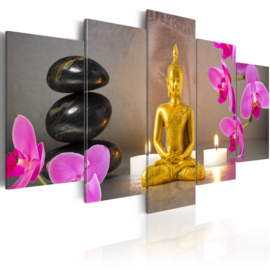 792 Gouden Buddha Orchidee