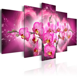 637 Roze Orchidee Hartje