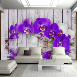 Hout Paars Orchidee nr 525