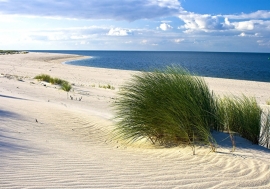 Duinen Strand Zee nr12