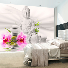 Spa Buddha nr 643