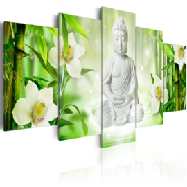 424 Witte Buddha Bloemen