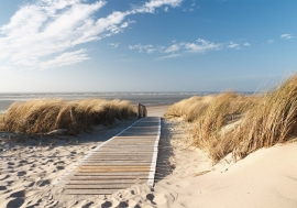 Strandpad Duinen Noordzee nr11