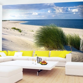 Duinen Strand Zee nr12